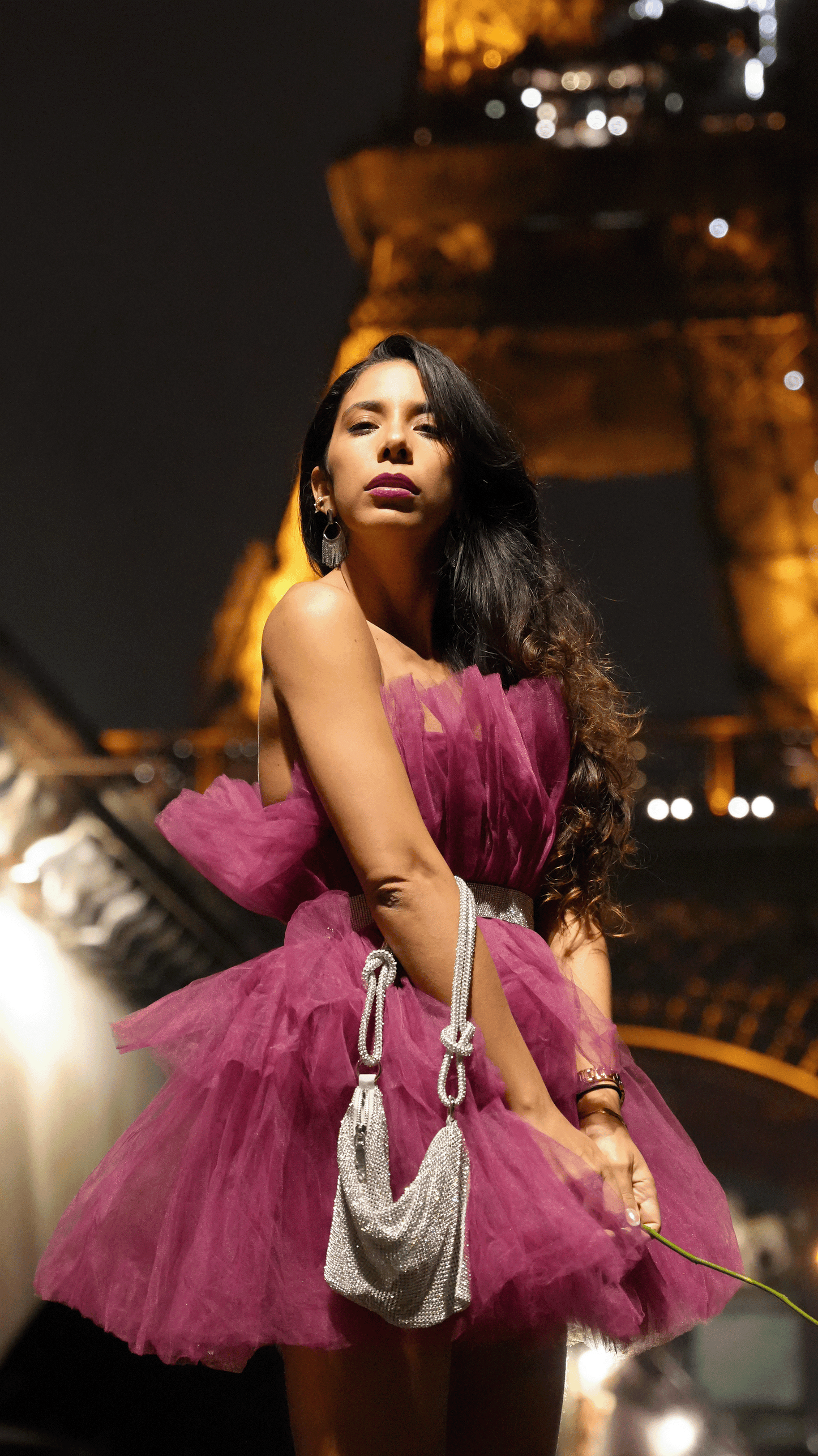 Night Paris Mulberry Dress